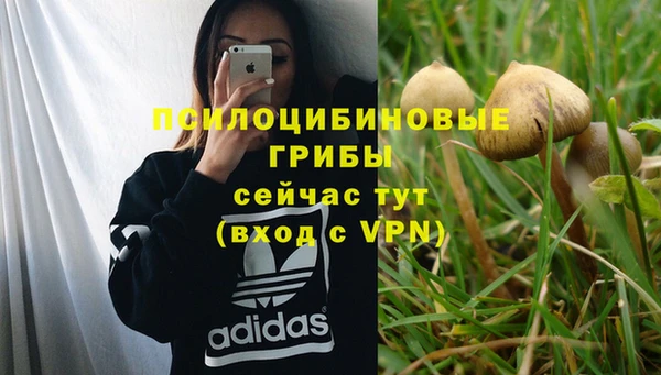 соль курить ск Калининец