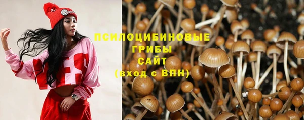 spice Костерёво