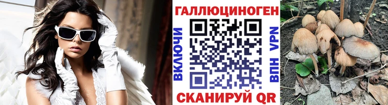 Галлюциногенные грибы Psilocybine cubensis  сколько стоит  Таштагол 
