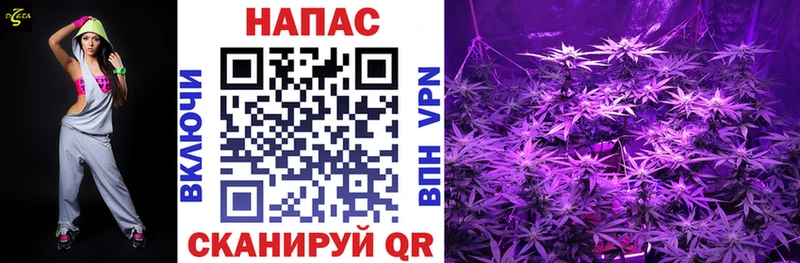 где можно купить наркотик  Таштагол  Шишки марихуана THC 21% 